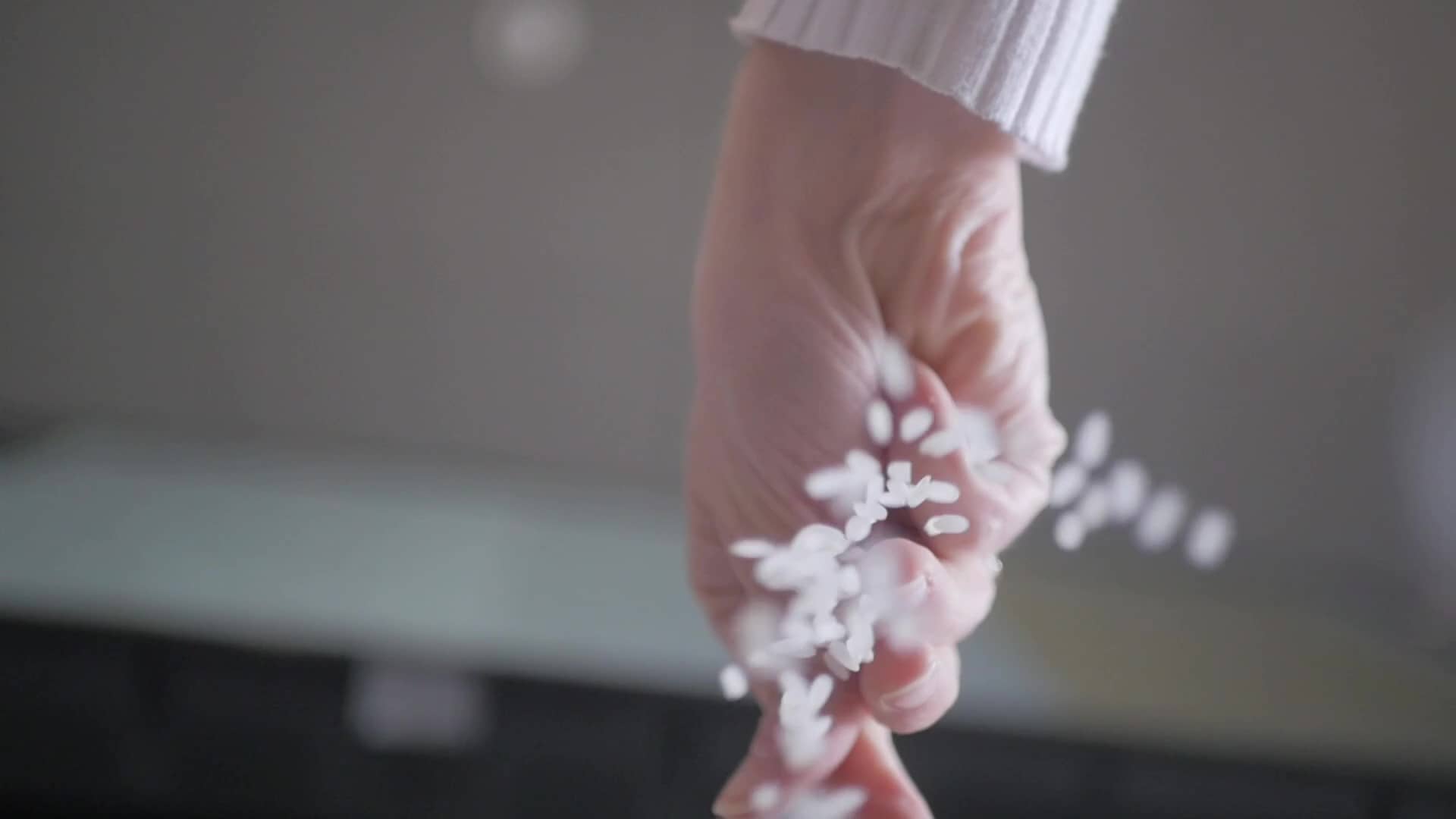 thumbnail of Pocket Sushi